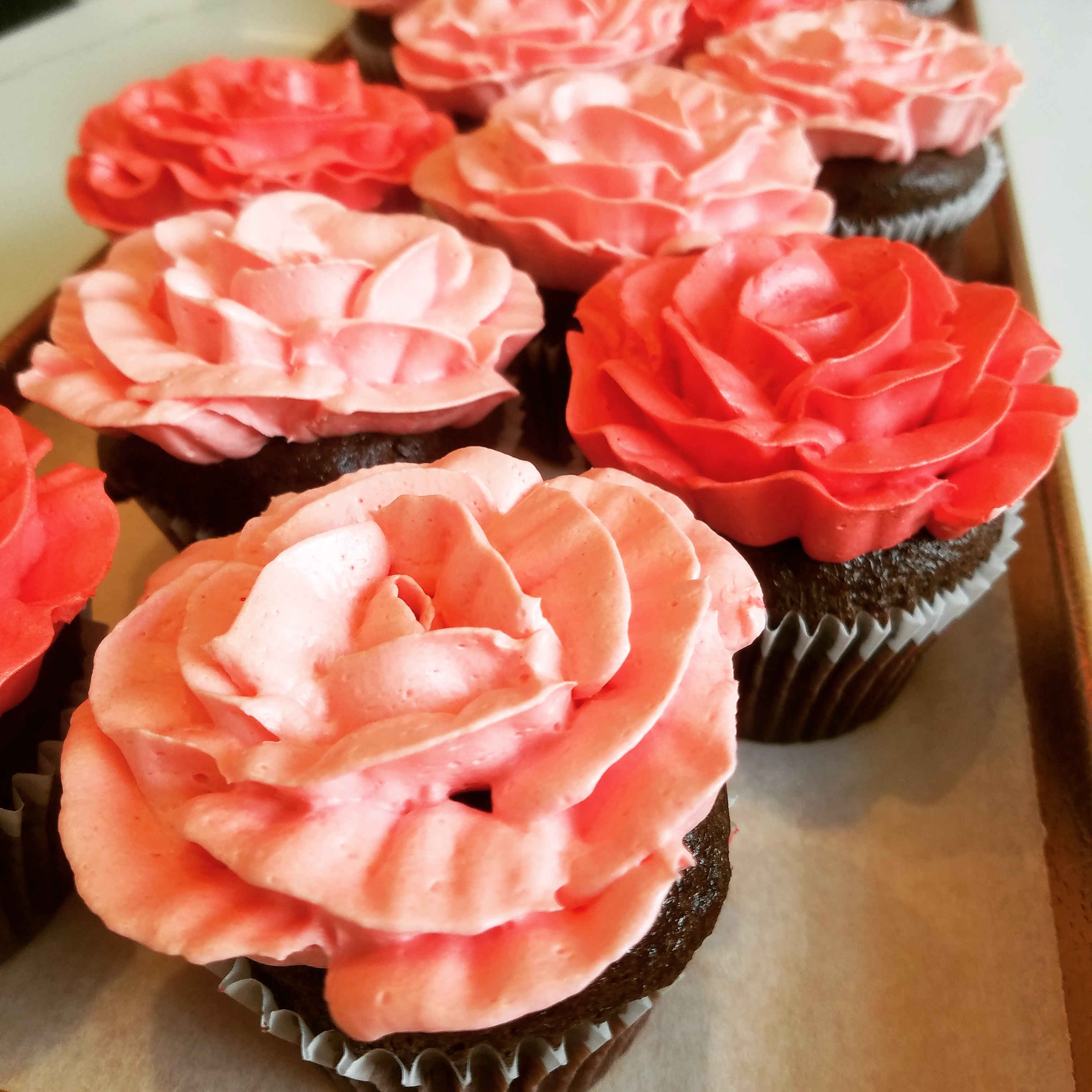 Chocolate Valentine's Day cupcakes frosted with pink and red buttercream flowers.