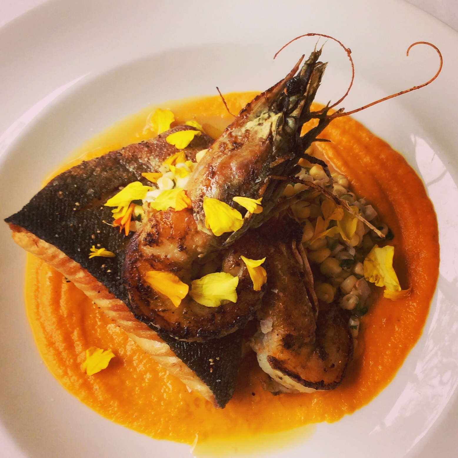 Pan-seared trout with prawns and squash puree.
